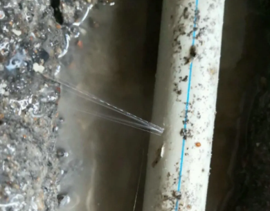 红安测漏水哪家好