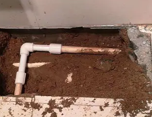 红安测漏水哪家好