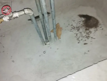 红安卫生间测漏水价格明细